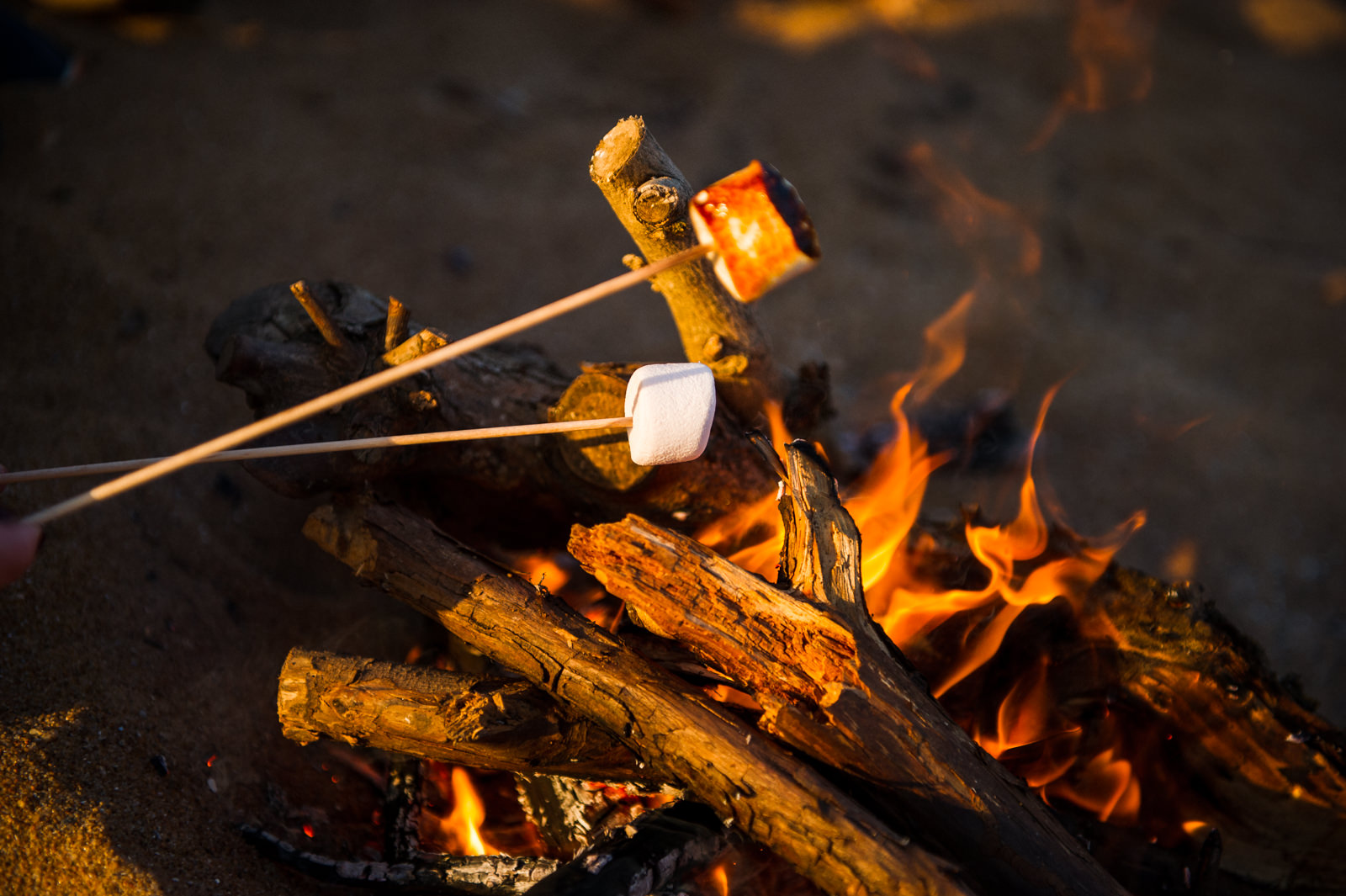 senace engagement plage