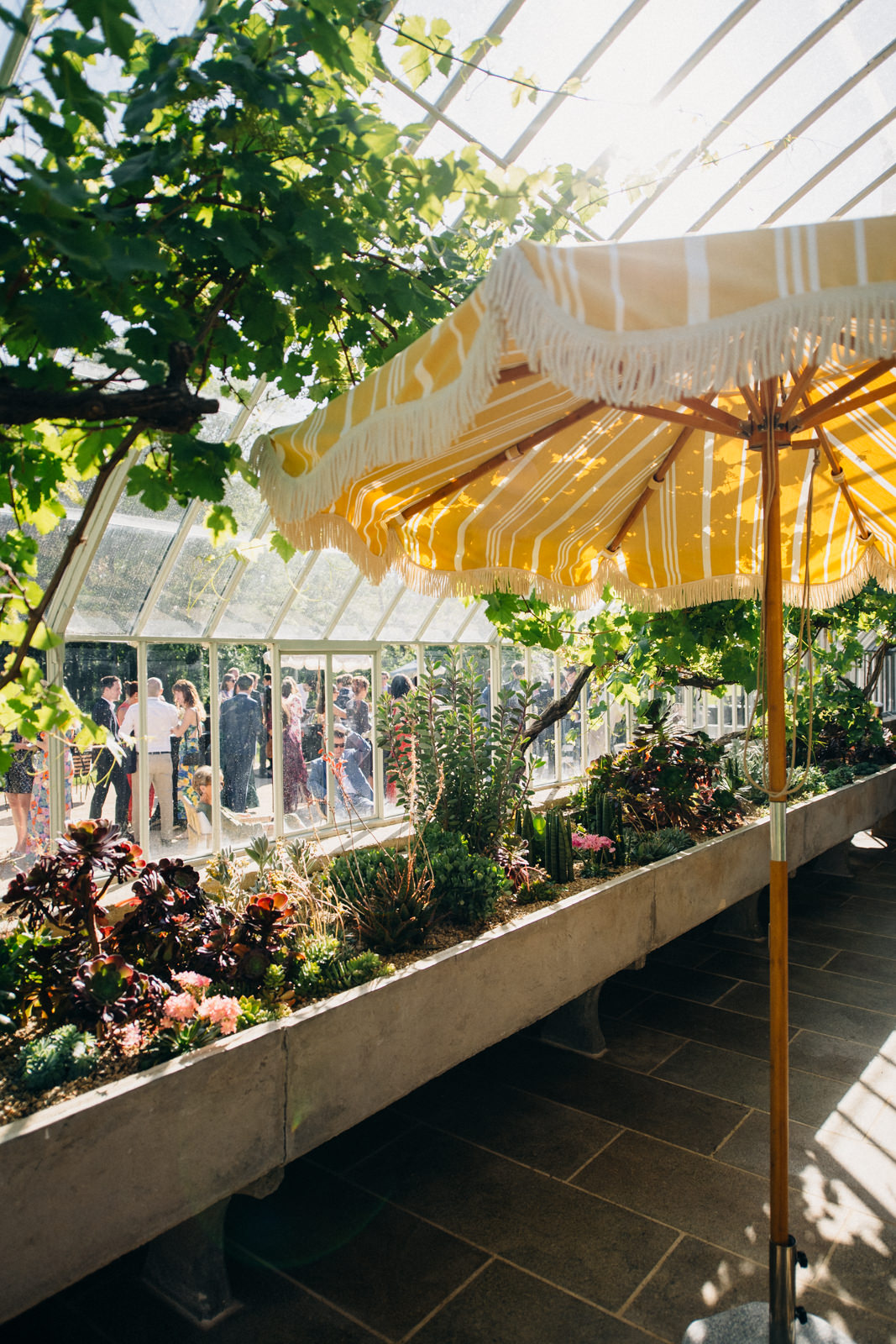 domaine le mezo mariage